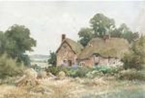 Thatched Cottages By A Hayfield