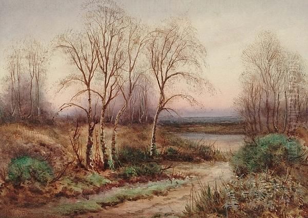 A Rural Path - view 1