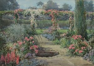Summer Flowering Pergola