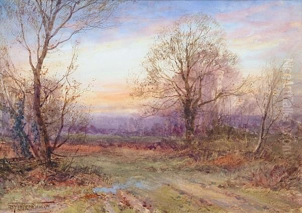 Woodlands At Sunset - view 1