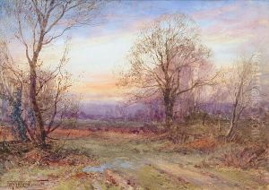 Woodlands At Sunset