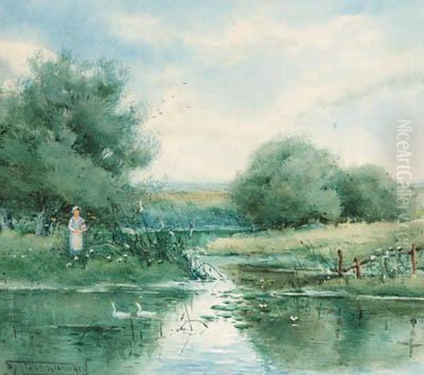 Feeding The Ducks - view 1