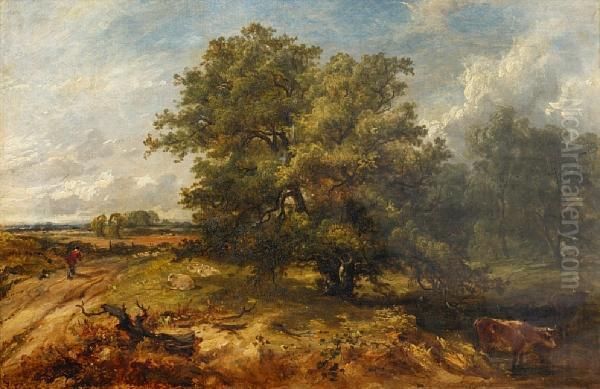 Wooded Stream With Cattle, Sheep And Figure Ona Path - view 1