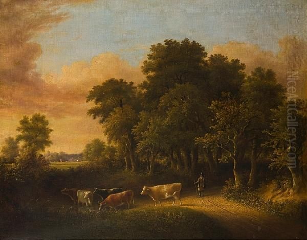 Cattle On A Wooded Path - view 1