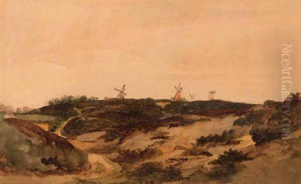 Mousehold Heath - view 1