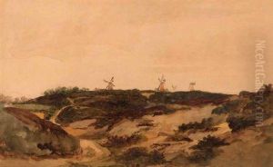 Mousehold Heath Mousehold Heath