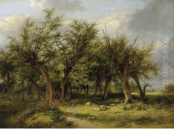Willows By A Watercourse - view 1