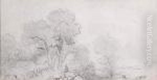 Trees - view 1