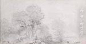 Trees Trees