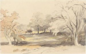 Landscape Study Landscape Study