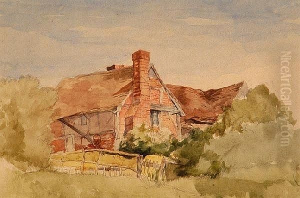 An Overgrown Farmstead - view 1