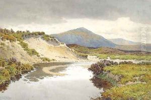 The River Taw, Dartmoor