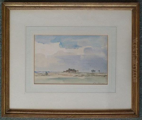 Landscape - view 1