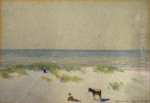 Nieuport Sand Dunes Nieuport Sand Dunes