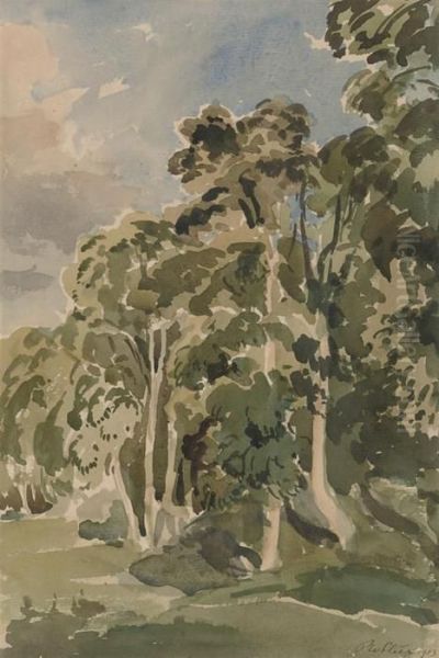 Trees - view 1