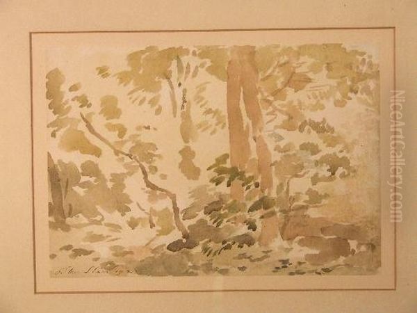 Trees On The Islet - view 1