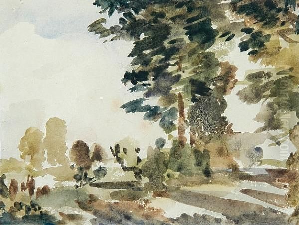 Woodland Study, Shirehampton, Gloucestershire - view 1