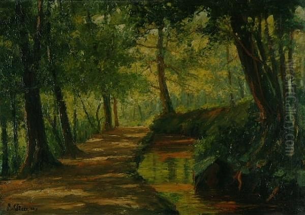 Canal And Towpath Through The Woods - view 1