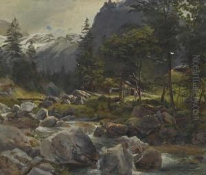 Mountain Stream Near Engelberg. Mountain Stream Near Engelberg.