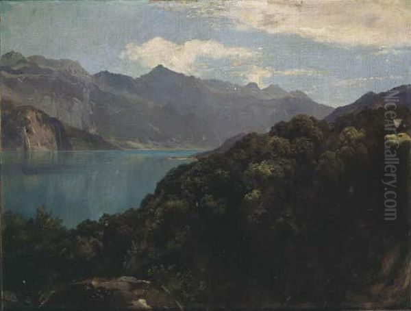 Walensee - view 1