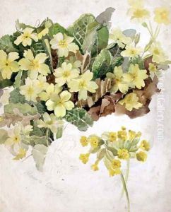 Study of Primroses and Cowslips by Laura Darcy Strutt