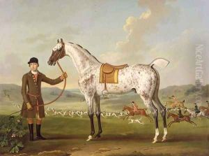 Scipio, Colonel Roches Spotted Hunter, c.1750