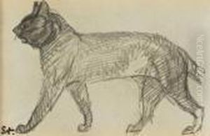Douze Etudes De Felins Dans Un Porte-folio Provenant D'uncarnet 
Pierre Noire, Graphite