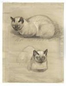 Study Of A Cat by Theophile Alexandre Steinlen
