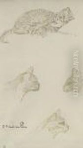 Etude Des Chats by Theophile Alexandre Steinlen