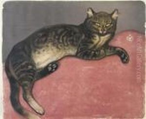 L'hiver Chat Sur Un Coussin