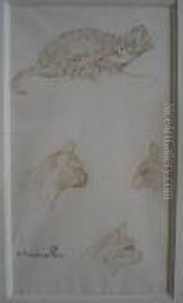 Tetes De Chats - view 1
