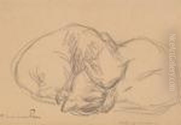 Chatons Jouant - view 1