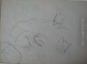 Etude De Chats
