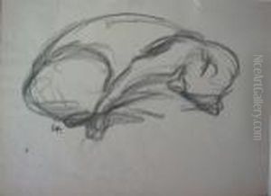 Chat Endormi
