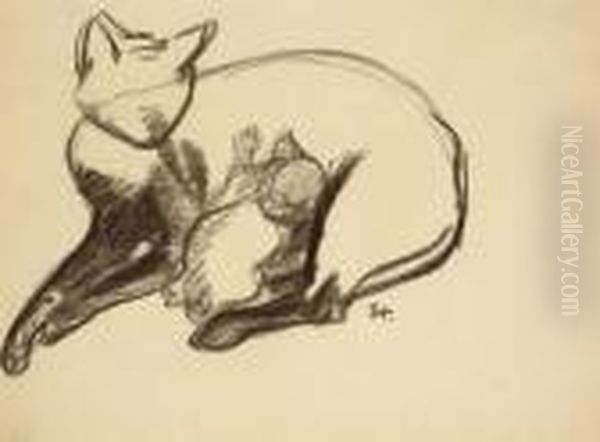 Chatte Et Son Chaton - view 1