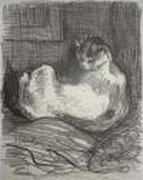 Chatte Et Son Petit - view 1