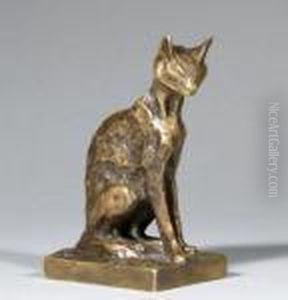 Chat Abyssinien