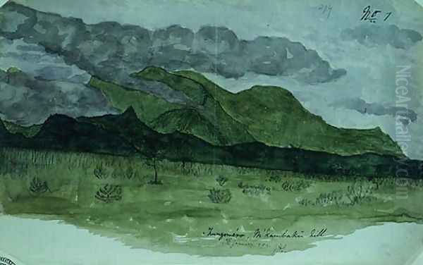 Tungomero by John Hanning Speke, explorer and discoverer of the source of the Nile - view 1
