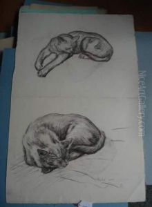 Recto : Etudes De Chats