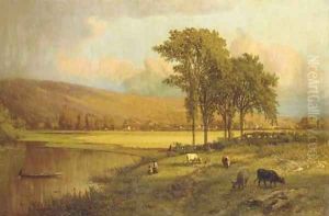 A Sunlit Meadow