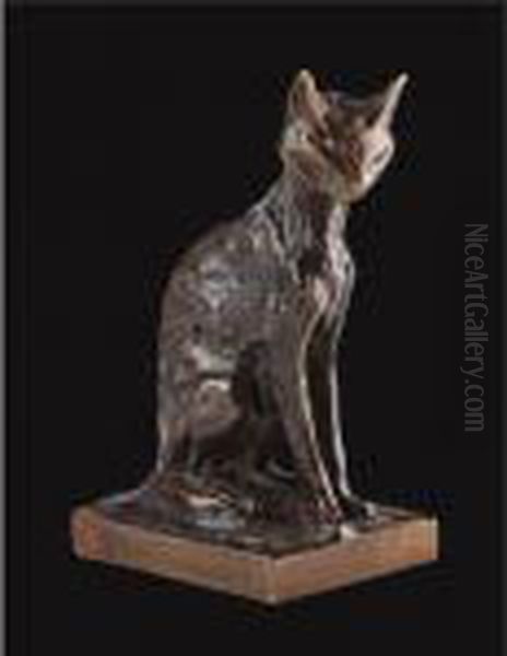 Chat Abyssinian - view 1