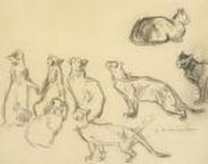 Katzenstudien