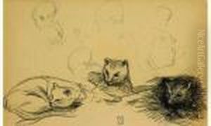 Etude De Chats Et De Tetes D'enfant