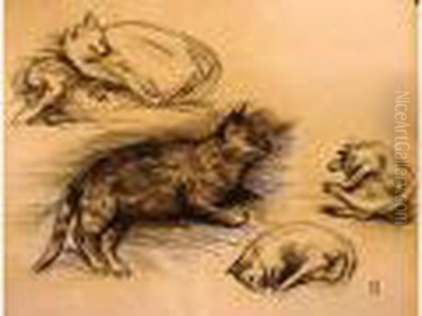 Etude De Chats - view 1