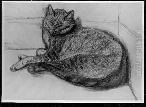Le Repos Du Chat