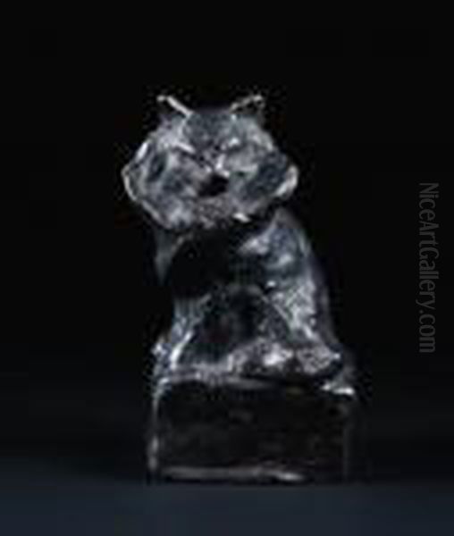 A Cat - view 1