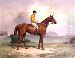 Shotover, 1883