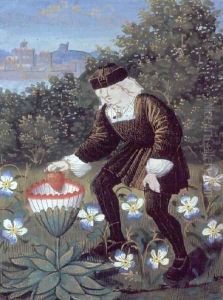 Stowe 955 f.5b-6 Garden scene, from Love Poems by Pierre Sala