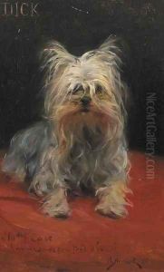 Dick - le plus aime des petits chiens