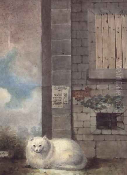 White Persian Cat - view 1